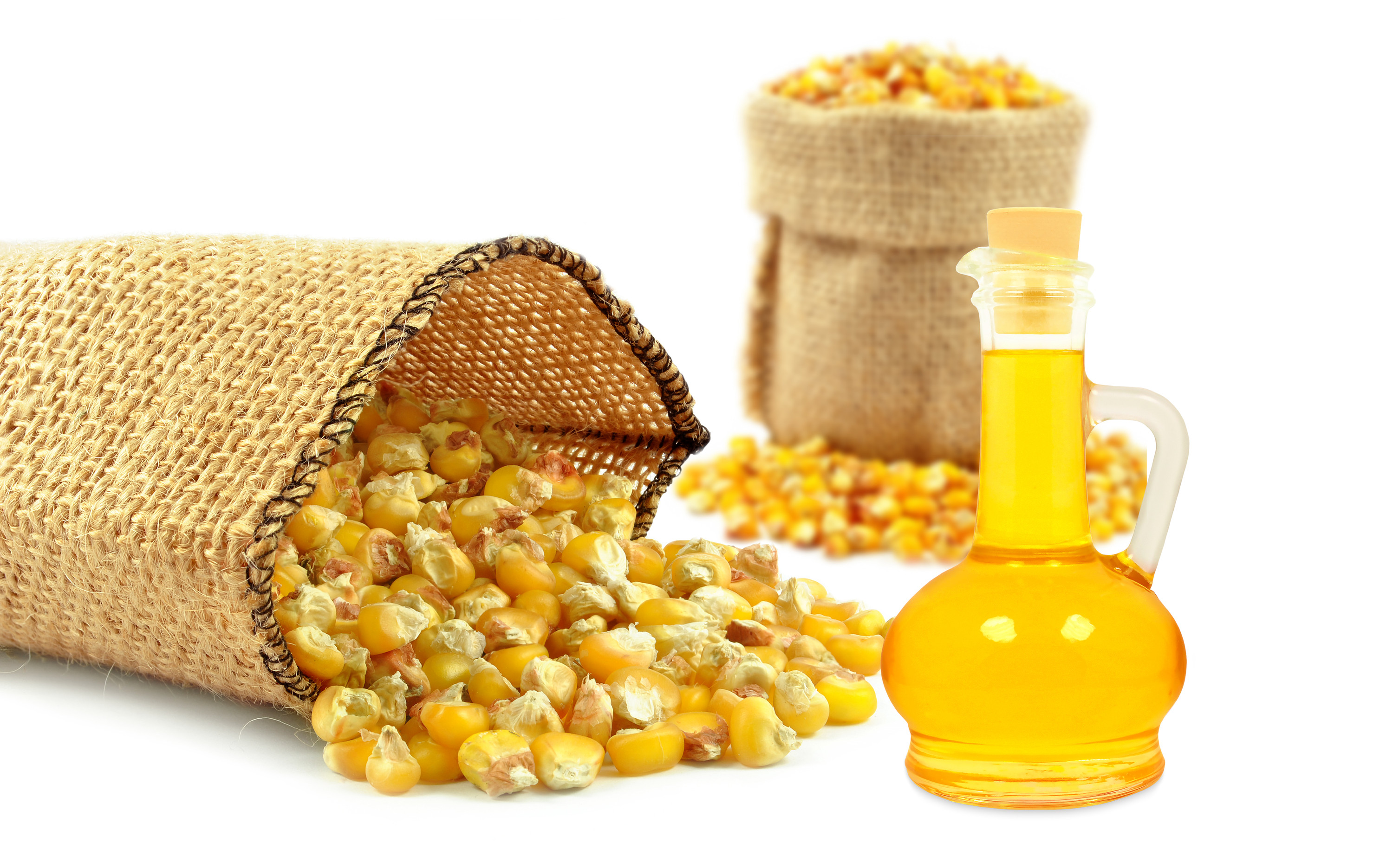 How to use corn oil in hair care?